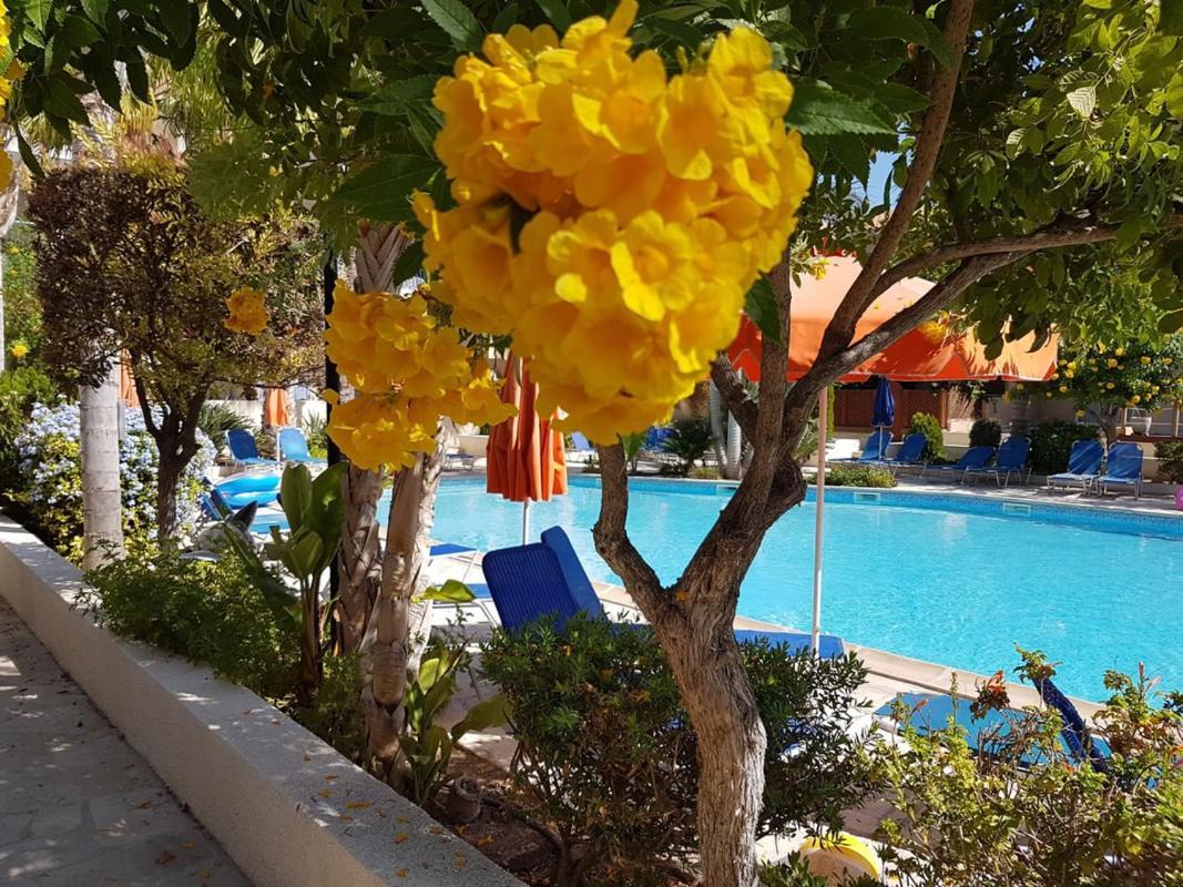Villa Ilios In Kato Paphos Buitenkant foto